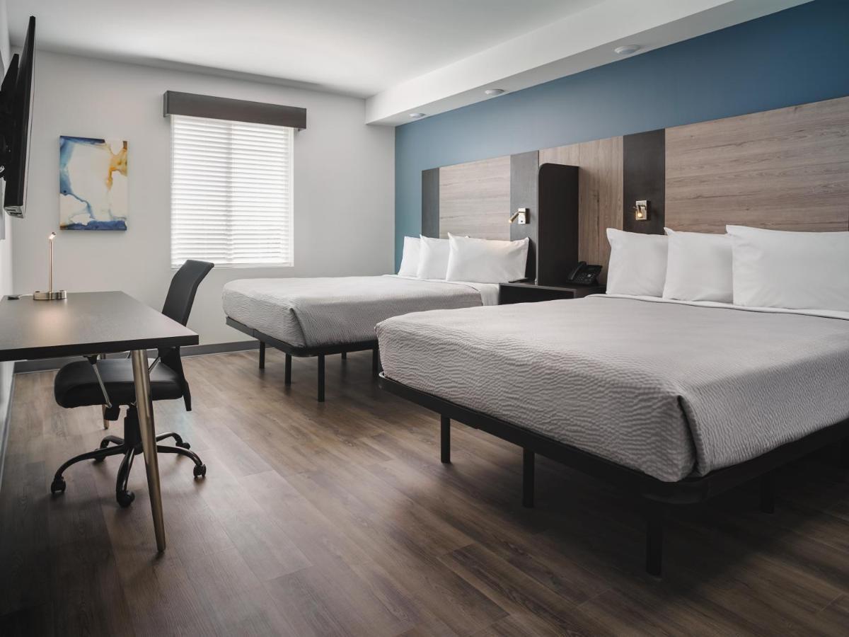Stayapt Suites San Antonio-Randolph Live Oak Ngoại thất bức ảnh